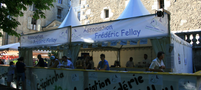 Juin 2014 – Fête de la Musique – Ville de Genève